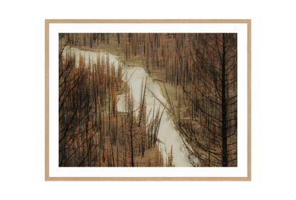 Image rendered by ArtFlows