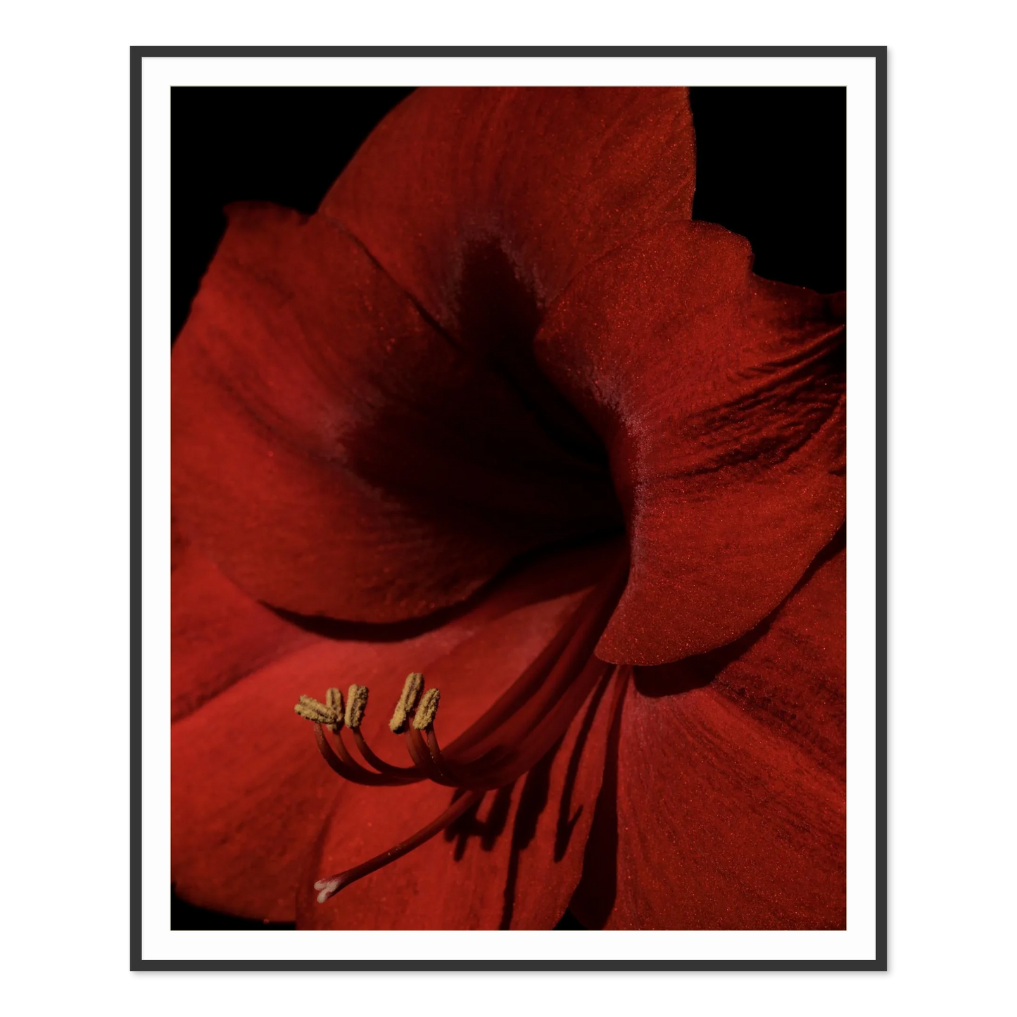 Image rendered by ArtFlows