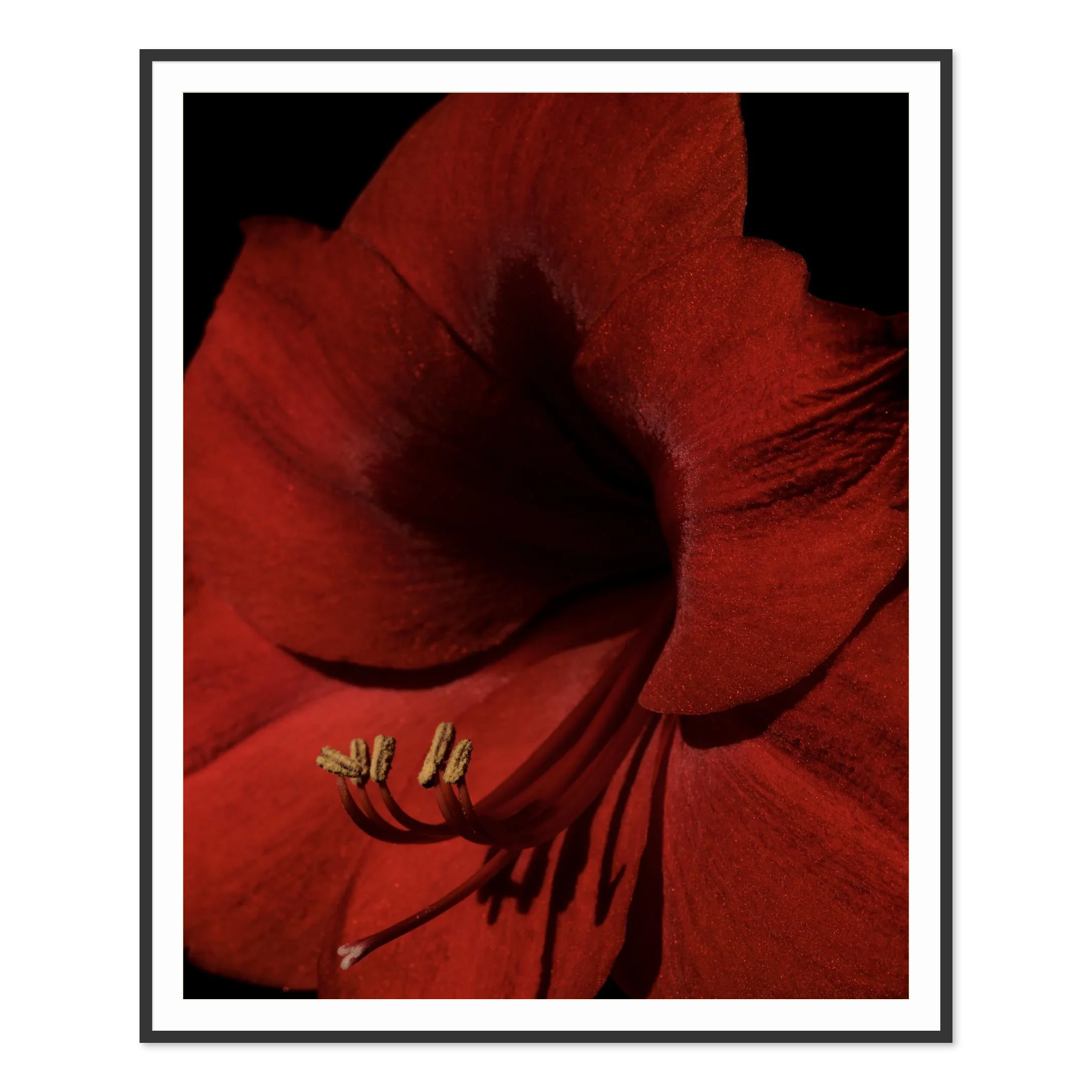 Image rendered by ArtFlows