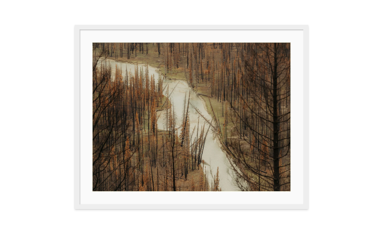 Image rendered by ArtFlows