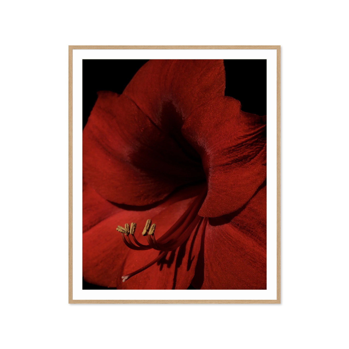 Image rendered by ArtFlows