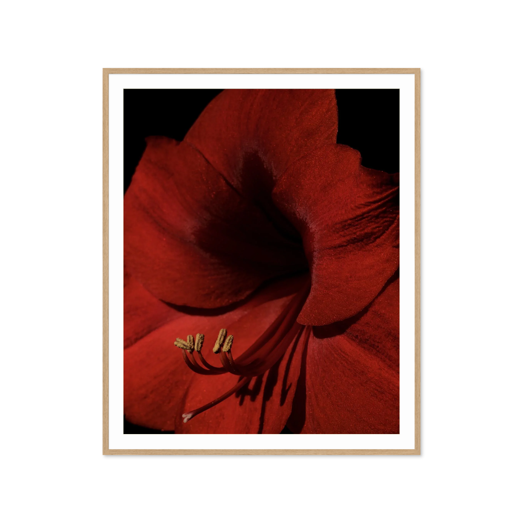 Image rendered by ArtFlows