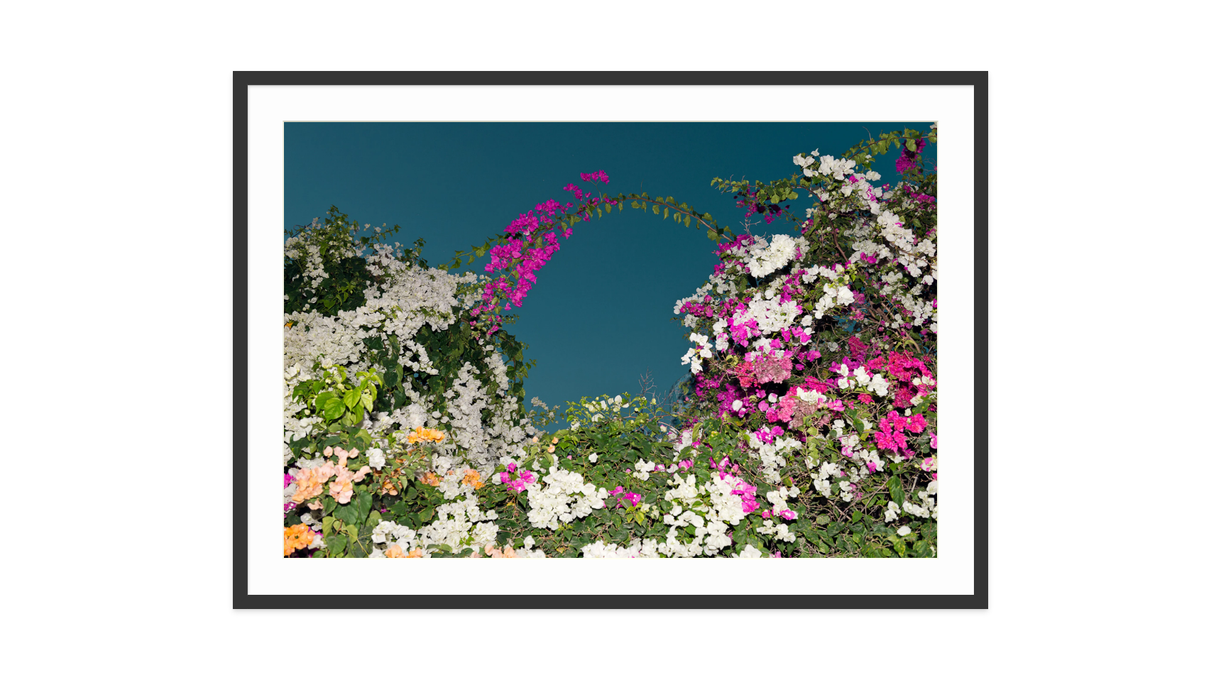 Image rendered by ArtFlows