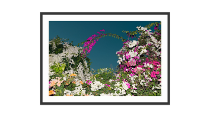 Image rendered by ArtFlows