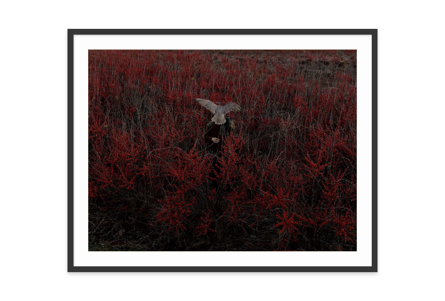 Image rendered by ArtFlows
