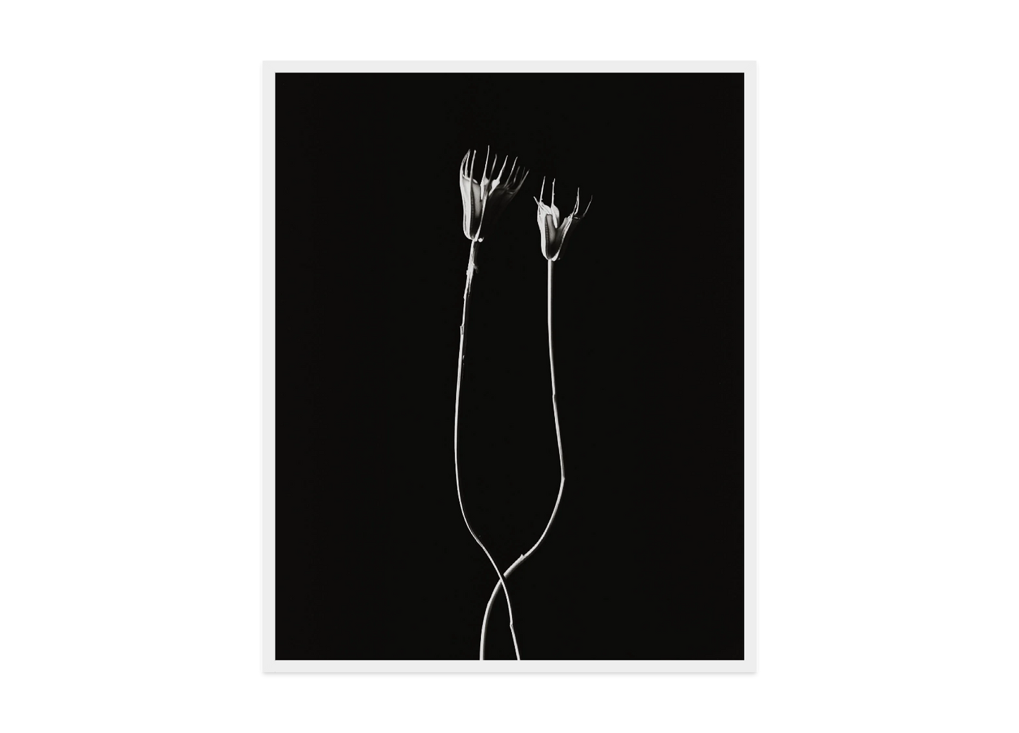 Image rendered by ArtFlows