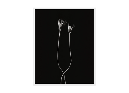 Image rendered by ArtFlows