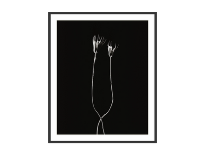 Image rendered by ArtFlows