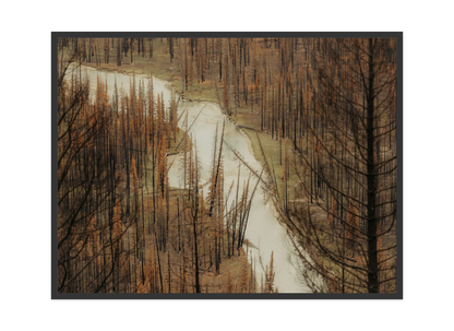 Image rendered by ArtFlows
