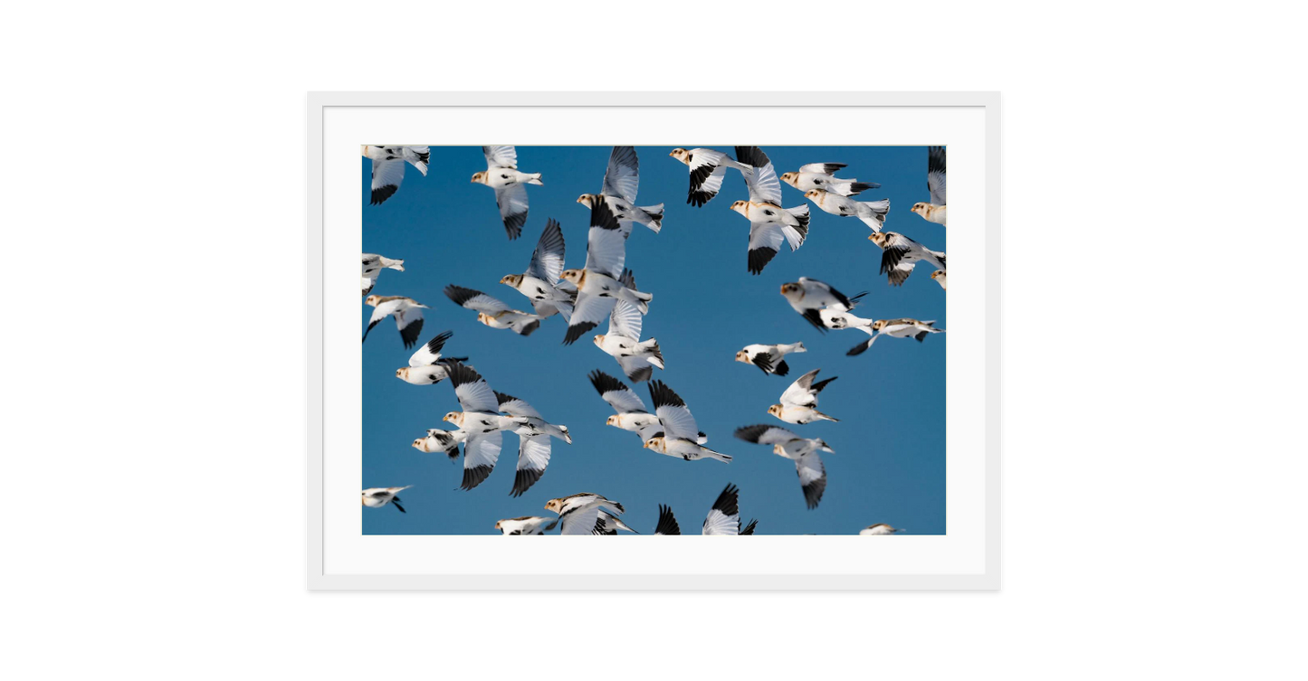 Image rendered by ArtFlows