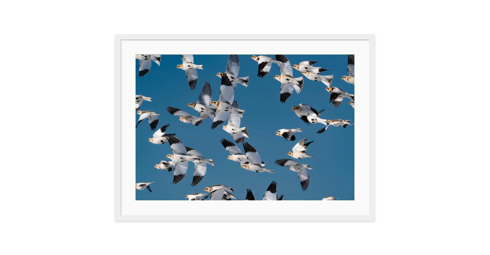 Image rendered by ArtFlows