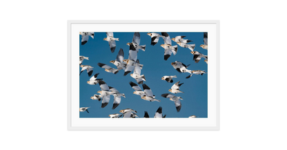 Image rendered by ArtFlows