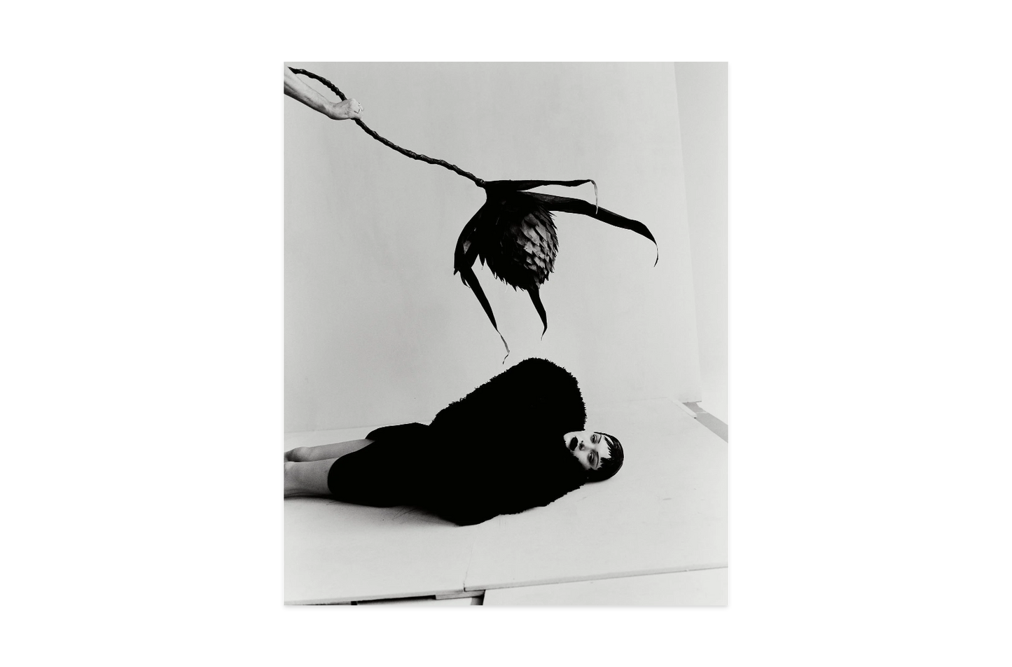 Image rendered by ArtFlows