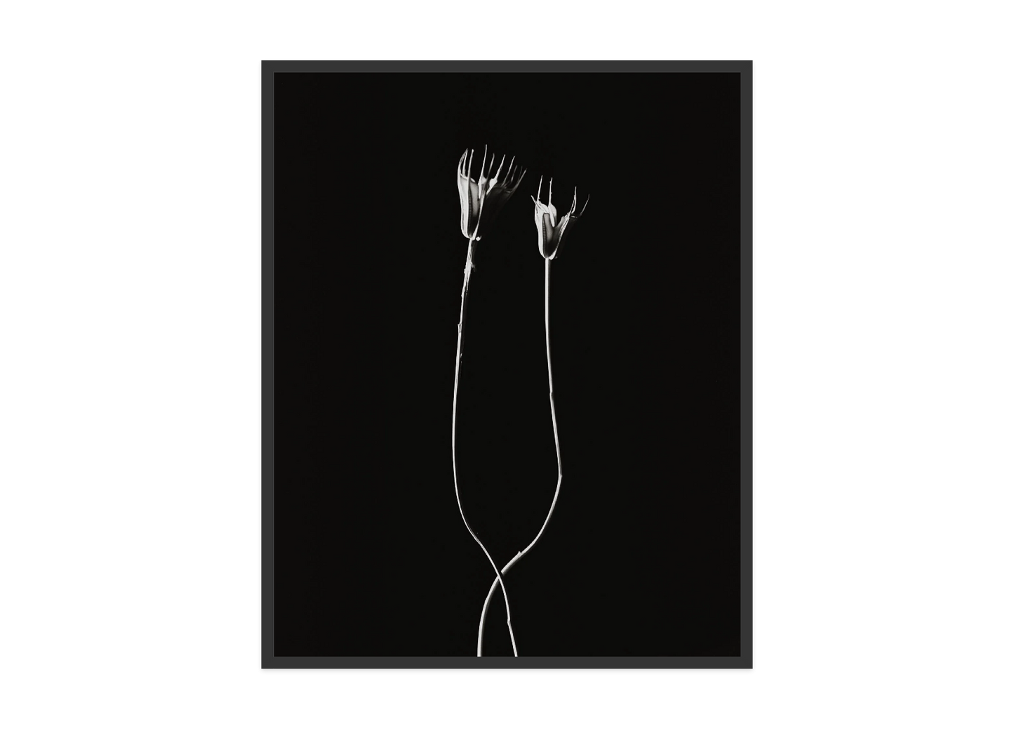 Image rendered by ArtFlows