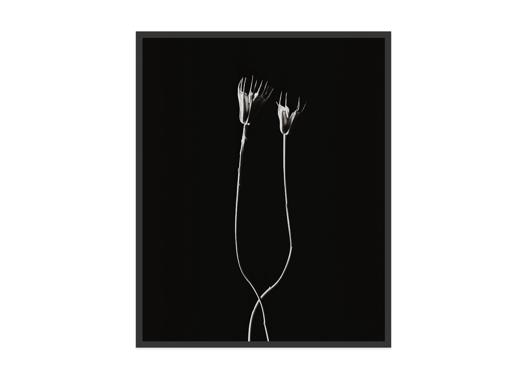 Image rendered by ArtFlows