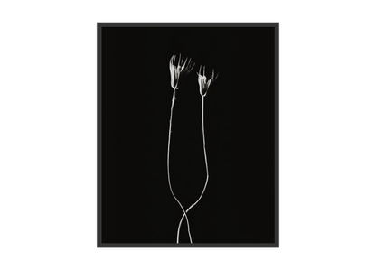 Image rendered by ArtFlows