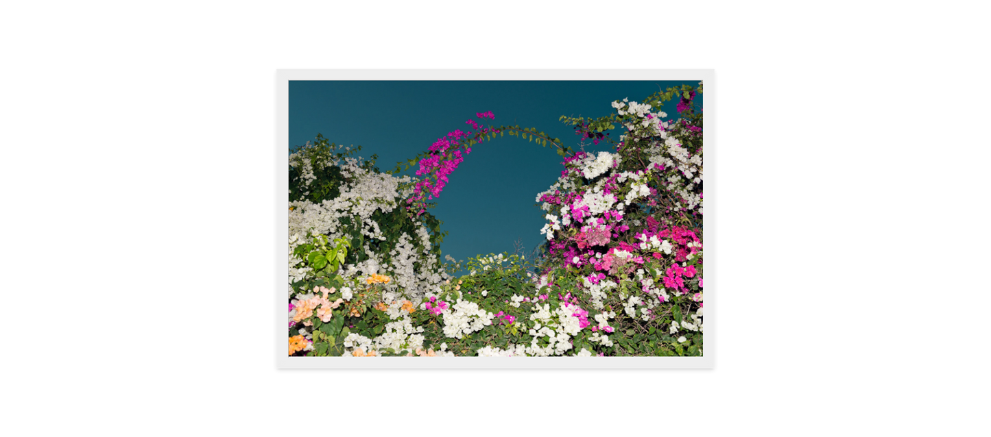 Image rendered by ArtFlows