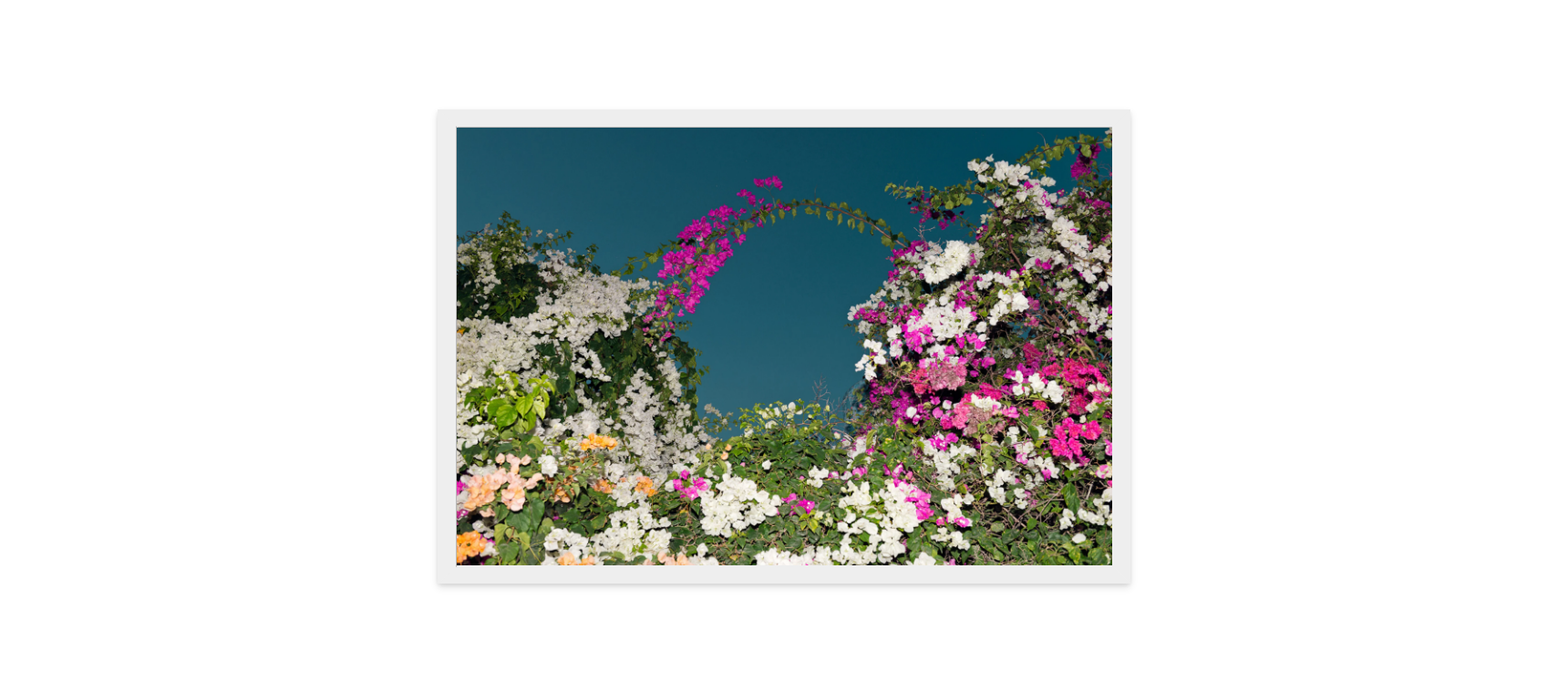Image rendered by ArtFlows