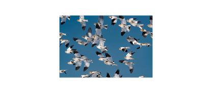 Image rendered by ArtFlows