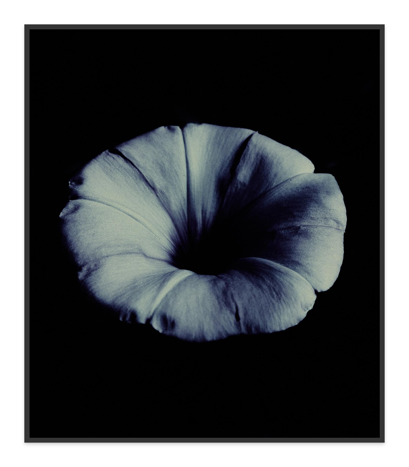 Image rendered by ArtFlows