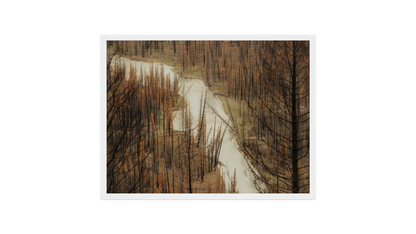 Image rendered by ArtFlows