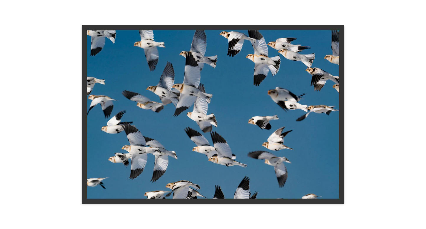 Image rendered by ArtFlows