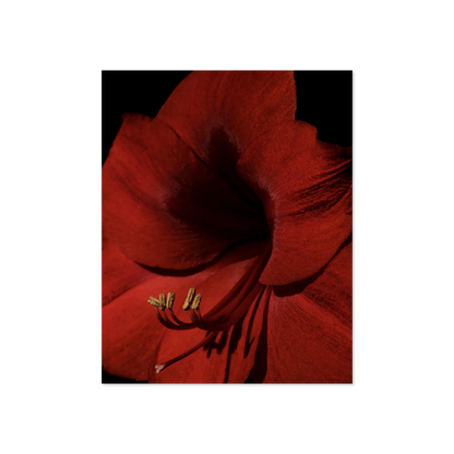 Image rendered by ArtFlows