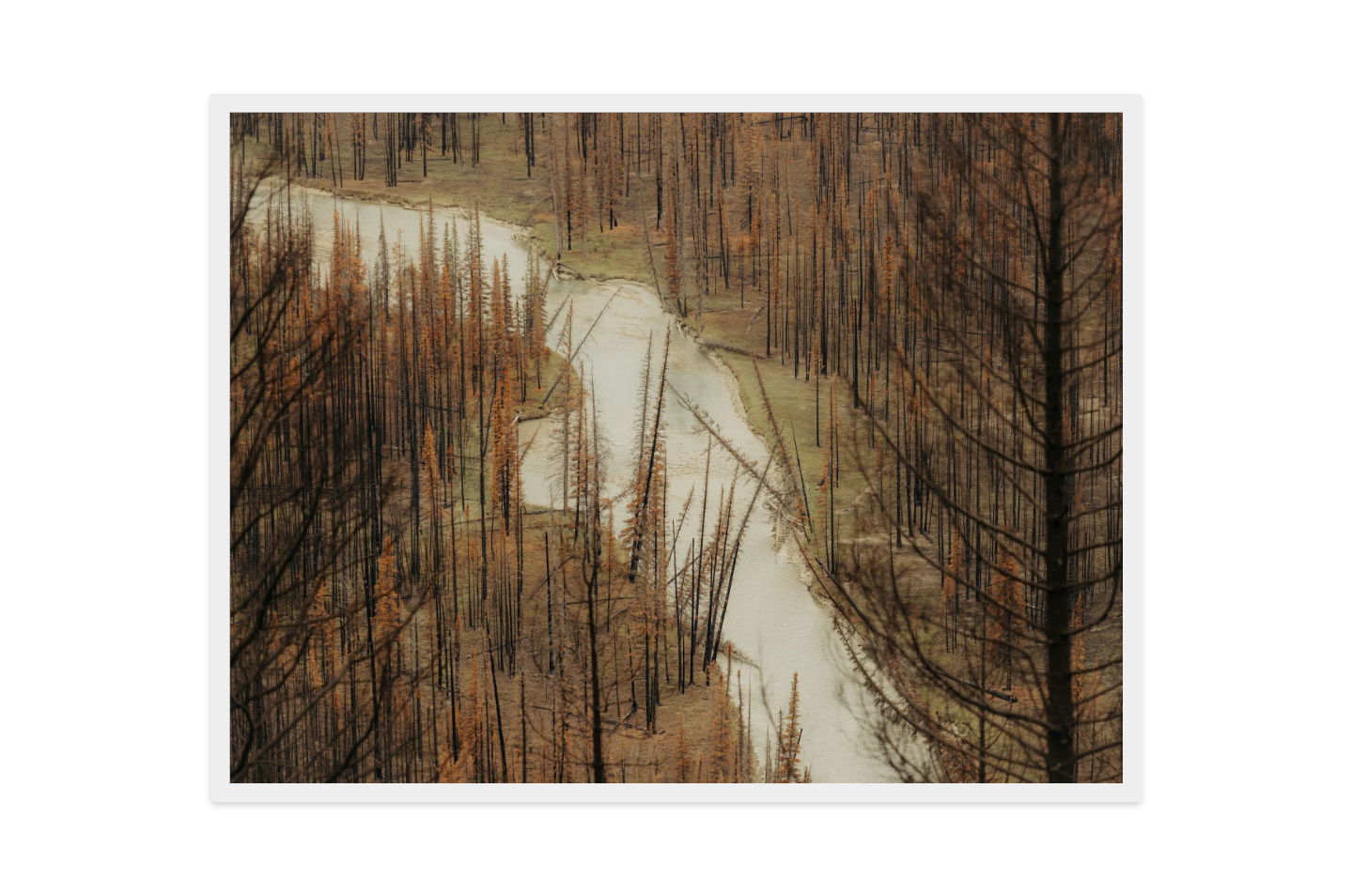 Image rendered by ArtFlows