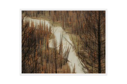 Image rendered by ArtFlows