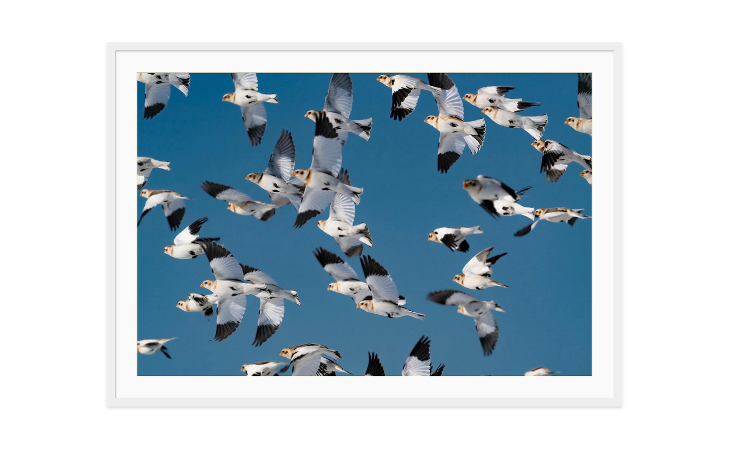 Image rendered by ArtFlows