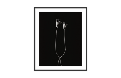 Image rendered by ArtFlows