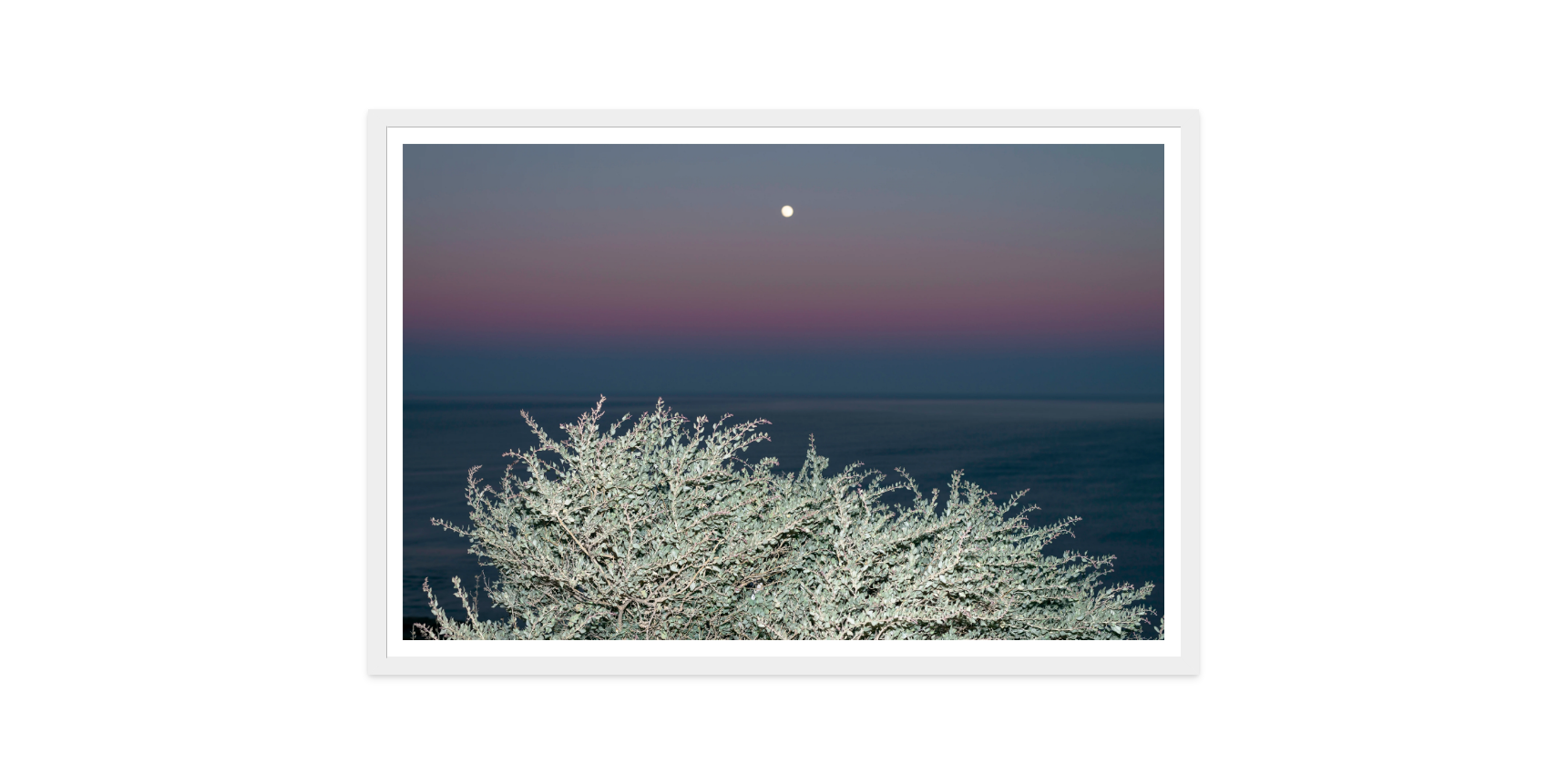 Image rendered by ArtFlows