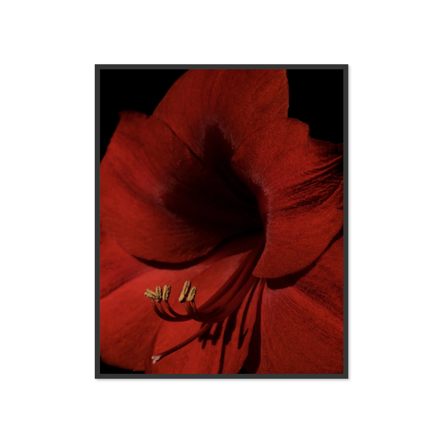 Image rendered by ArtFlows