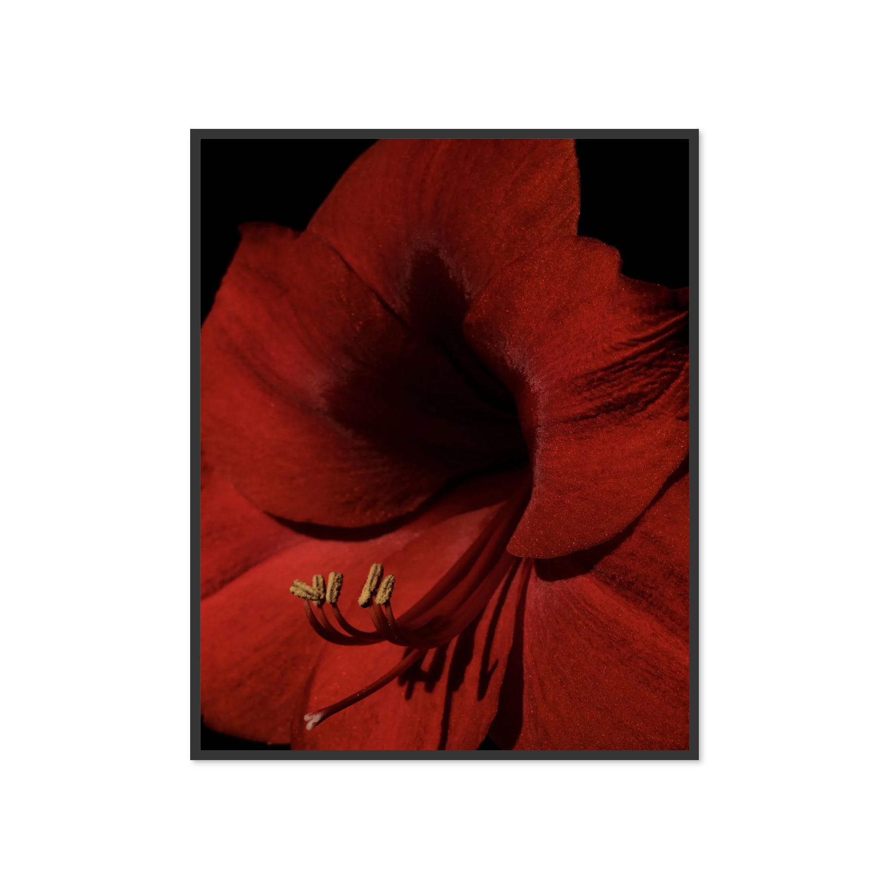 Image rendered by ArtFlows