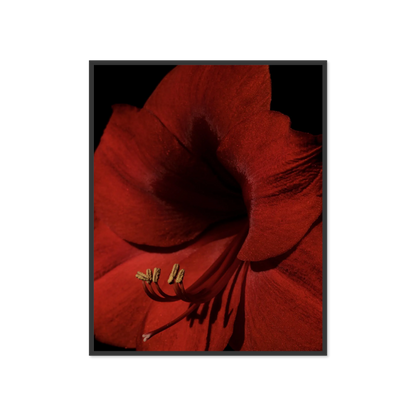 Image rendered by ArtFlows
