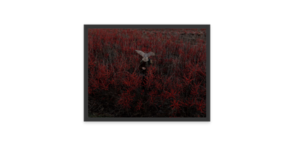 Image rendered by ArtFlows