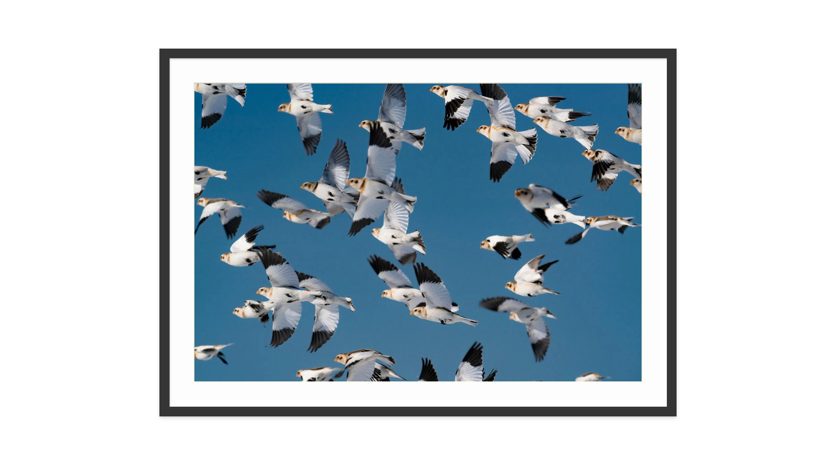 Image rendered by ArtFlows