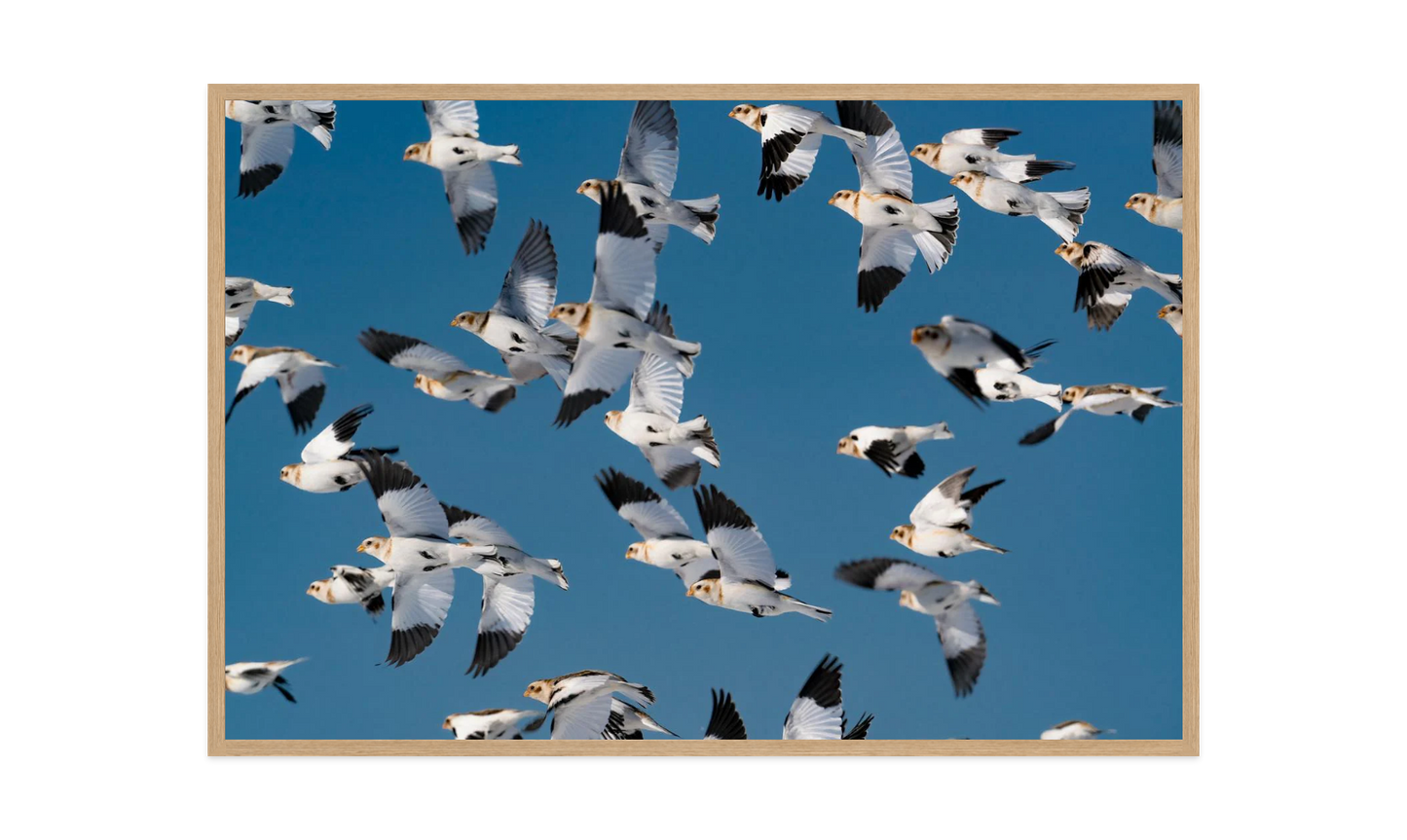 Image rendered by ArtFlows