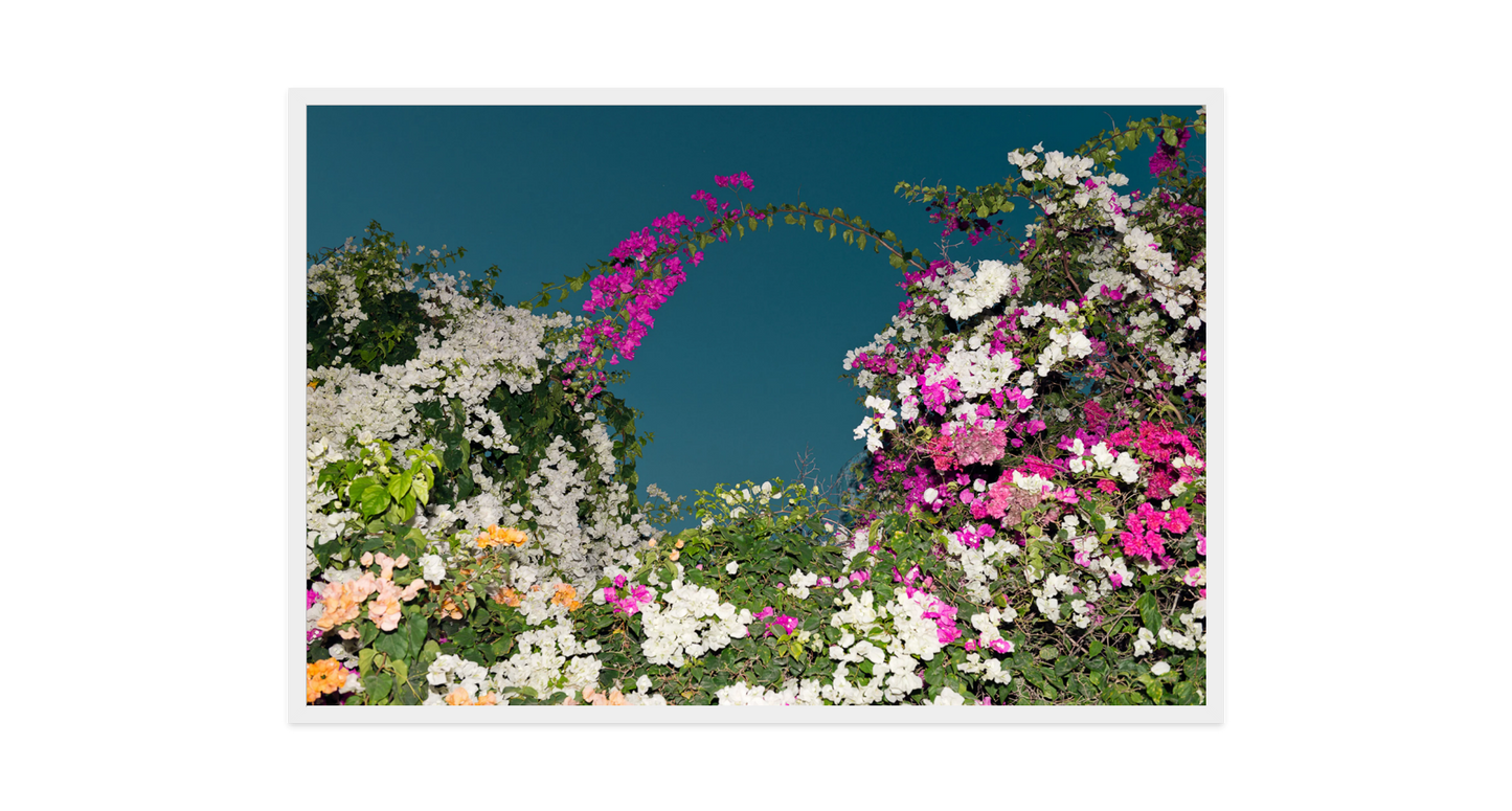Image rendered by ArtFlows