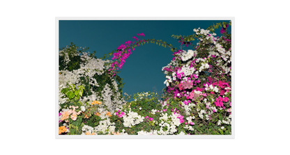 Image rendered by ArtFlows