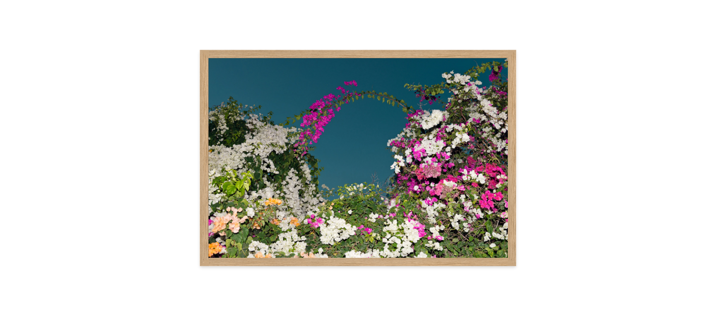 Image rendered by ArtFlows