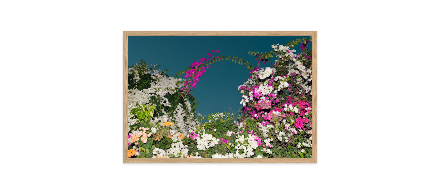 Image rendered by ArtFlows