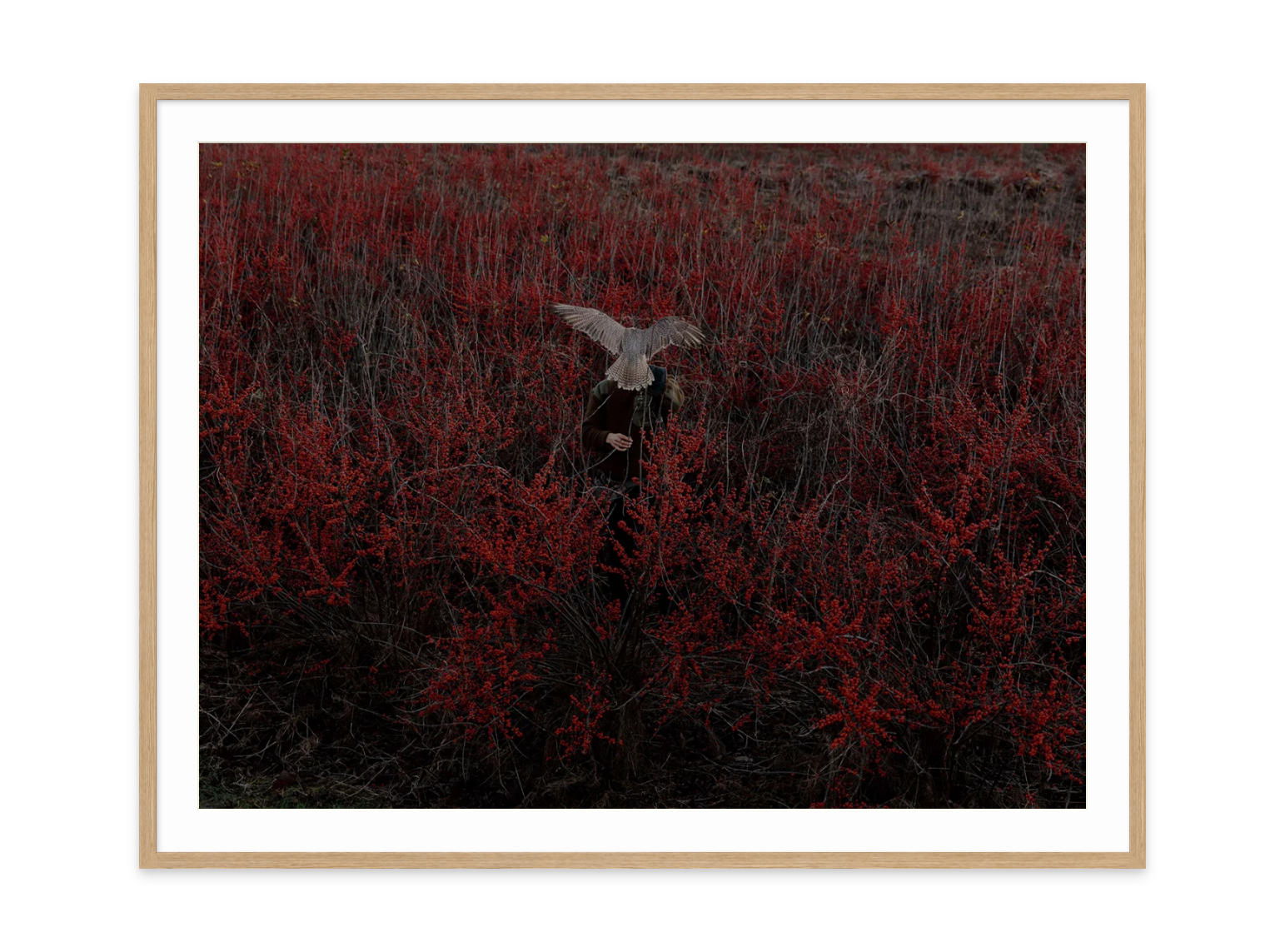 Image rendered by ArtFlows