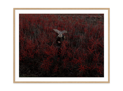 Image rendered by ArtFlows