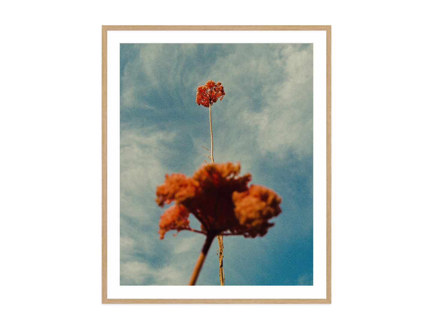 Image rendered by ArtFlows