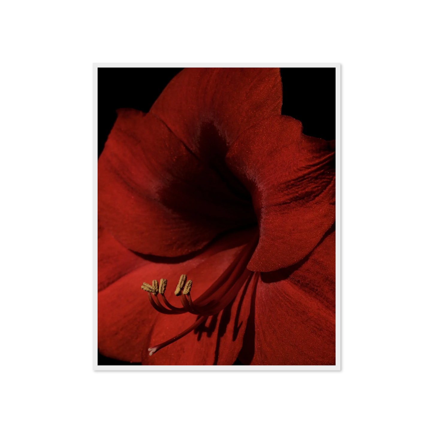 Image rendered by ArtFlows