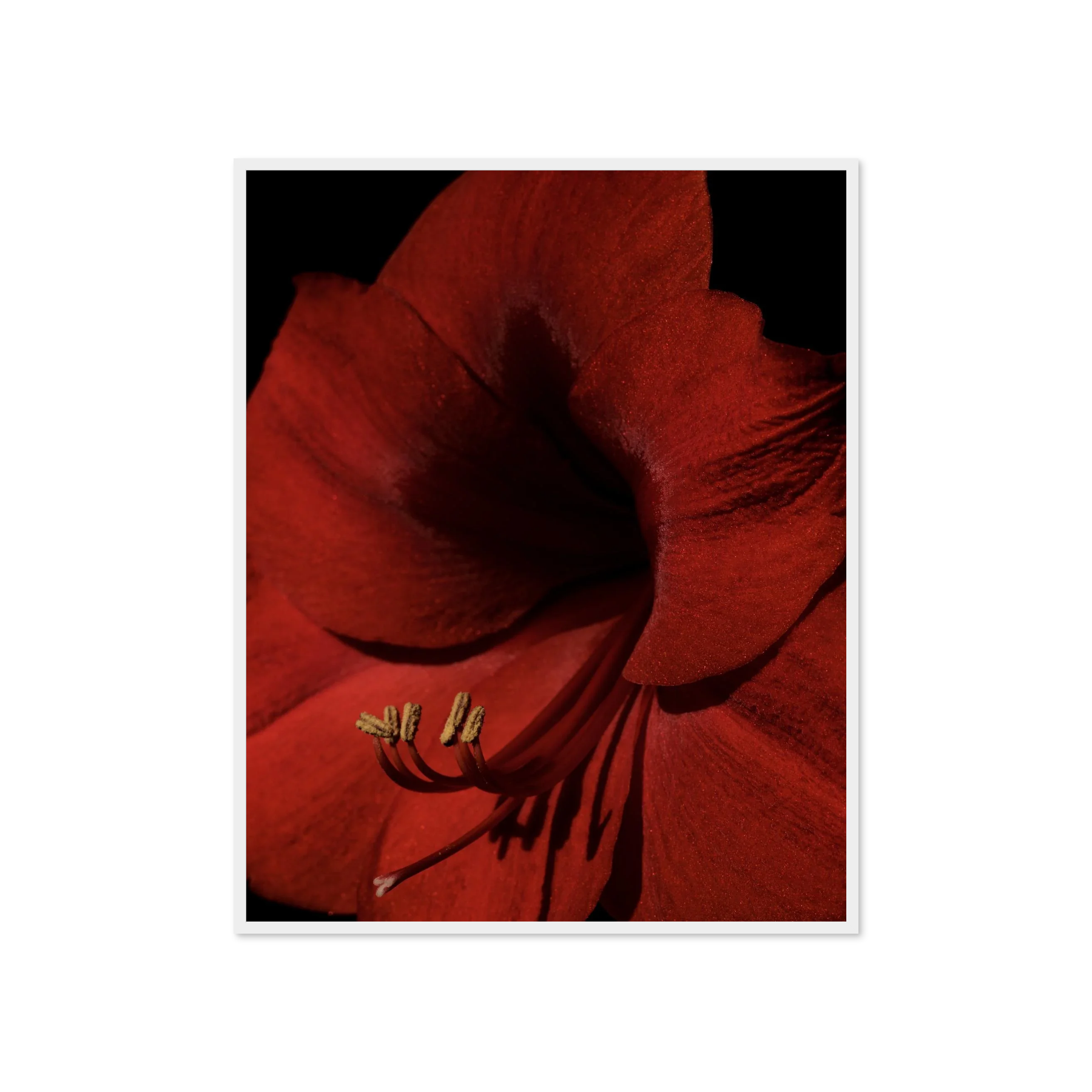 Image rendered by ArtFlows