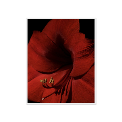 Image rendered by ArtFlows