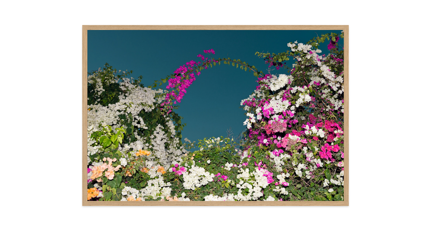 Image rendered by ArtFlows