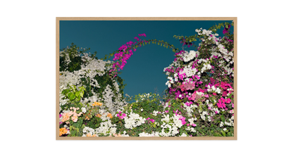 Image rendered by ArtFlows
